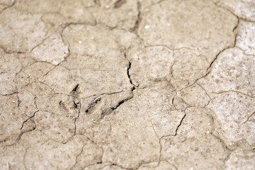 Dried out soil dryness drought