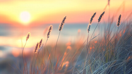 Naklejka premium beachgrass growing sunset beach in beautiful dusk