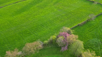 High Angle View of British Agricultural Farms at Countryside and Beautiful Landscape of Near Hills of Rotherham, England Great Britain of UK. April 30th, 2024