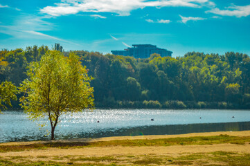 beautiful summer landscape with lake