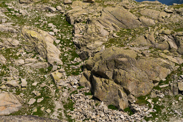 A detailed view of a rocky terrain featuring large boulders and scattered stones, interspersed with patches of green vegetation. The rugged landscape