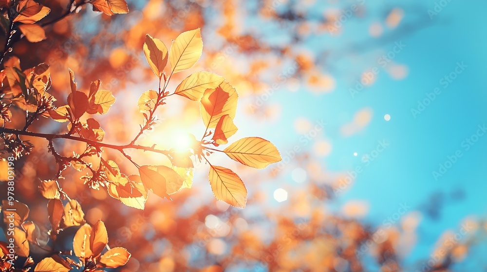 Aufkleber sunny summer day blurred background nature bokeh : generative ai