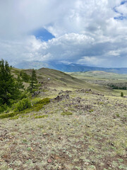 Mountains in the steppes, beautiful nature. Mountain Altai.