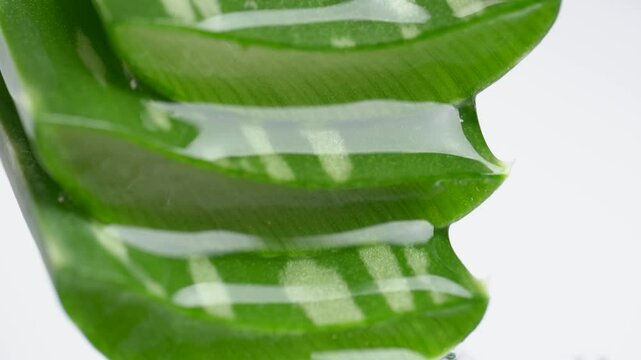 Transparent extract flows through the leafes of the aloe vera. Extract from leaves of Aloe vera. Gel serum of Aloe Vera. Aloe Vera gel drop in slow motion. Rotation