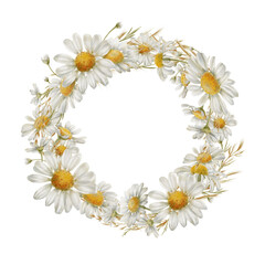 Obraz premium Round wreath of white flowers daisies, buds, dried flowers as a symbol of purity, innocence, love, fidelity. Watercolor clipart on transparent background for product design, postcards, calendar