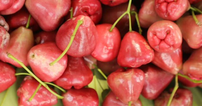 Java Apple in a Shop