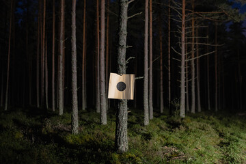 Paper shooting target in a night pine forest.