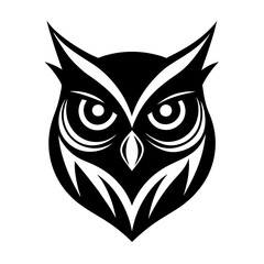 black and white owl