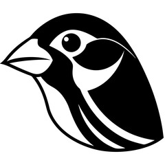 black and white bird