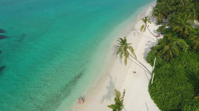 Aerial view of a beautiful local island with palm trees and a lagoon, Thoddoo, Maldives.