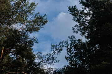 Blue sky and white and gray clouds. Texture background for design.
