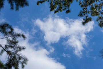 Blue sky and white and gray clouds. Texture background for design.