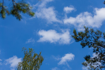 Fototapeta premium Blue sky and white and gray clouds. Texture background for design.