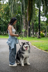 Obraz premium A beautiful Asian woman is taking her dog for a walk on a leash in a green park, training it to sit.