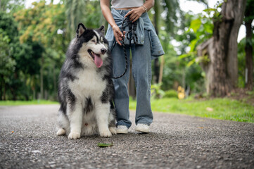 A female dog owner is training her dog while taking it for a walk in a park, teaching it to sit.