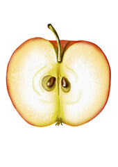 Half an apple. seeds Ripe and juicy fruit. The pulp is visible. The apple is red. Watercolor illustration.