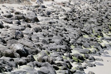 the motif of a polluted seashore with leftover oil products