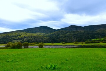 Green meadow and forest covered hills above at intermittent lake Cerknica in Notranjska, Slovenia