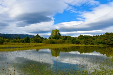 Flooded field at lake Cerknica with trees in the background and clouds in the sky