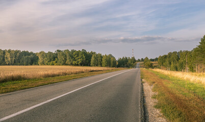 A road with a few trees in the background