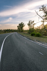 A road with a tree on the side and a cloudy sky