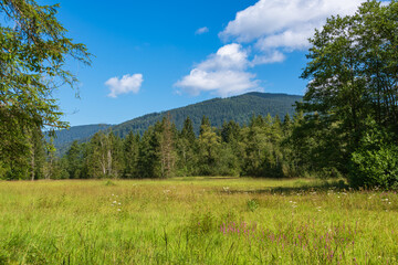 Beautiful Fen Close To Inzell