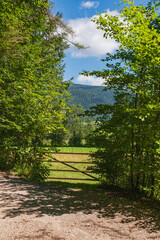 Closed Gate At The Meadow