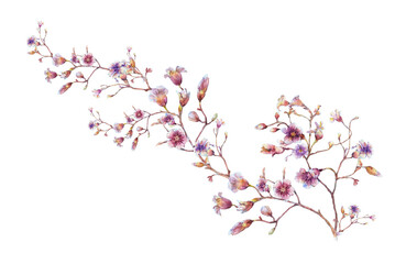 watercolor painting of leaves and flower, on transparent background