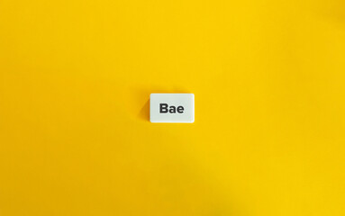 Bae (Before Anyone Else), Slang and Internet Term.