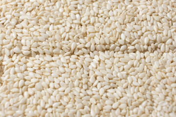 White sesame background, macro top view.