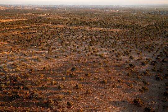 Aerial view of beautiful barren landscape with vast open space and serene wilderness, Birecik, Turkiye.