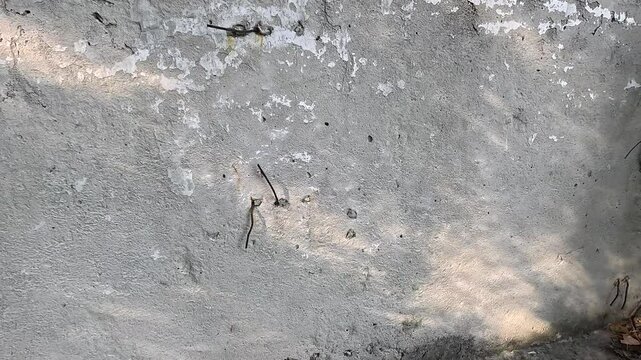 shadows on concrete wall. concrete texture. gray wall. light and shadow. abstract gray texture. austract video background.