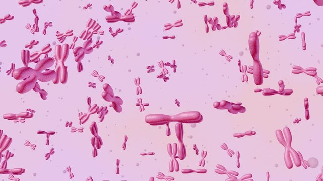 3d rendering of  pink XX chromosomes in the image visually represent the genetic material associated with female biological sex