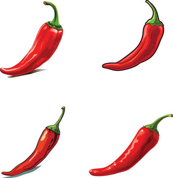 Chillie vector spicy red chilli vector