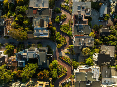 Aerial view of beautiful residential homes and green trees in a scenic neighborhood, Russian Hill, San Francisco, United States.