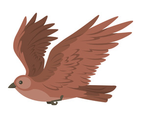 Cartoon flying bird, sparrow flaps its wings in flight isolated on white background, movement moment. Hawk or kite, Nature and wildlife, birdwatching and ornithology design, wild bird migration