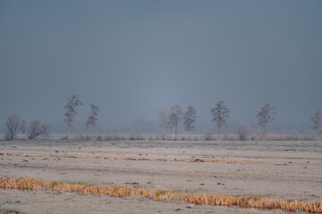 Very cold weather in the Netherlands in the rural region of the dutch farm lands. Winter landscape with frozen trees in the early morning at sunrise