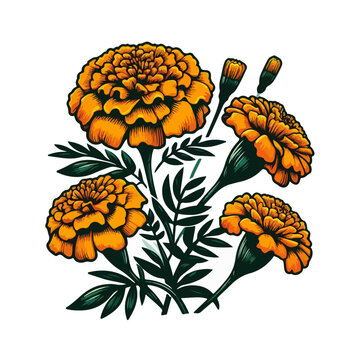 orange marigolds floral arrangement on white clip art preview