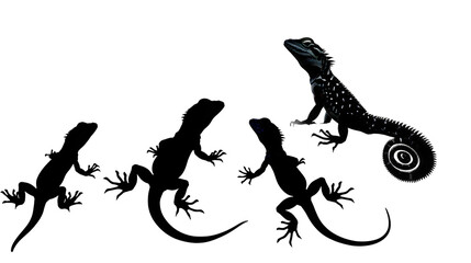 lizard silhouettes