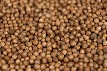 Macro Grains Coriander Natural Spice Selective Focus