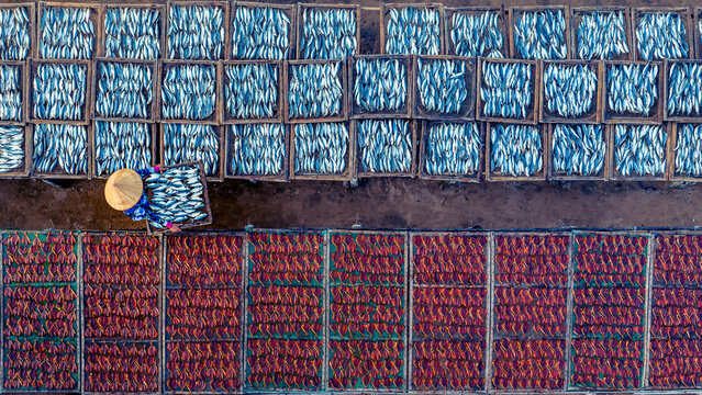 Aerial view of drying fish on racks with workers in straw hats, Long Hai, Vietnam.