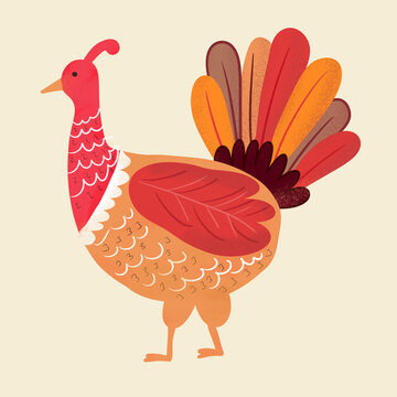 Colorful illustrated turkey for Thanksgiving celebrations