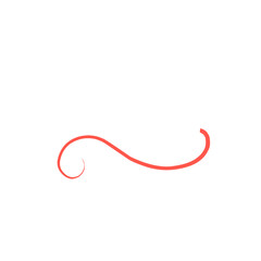 Red Squiggle Brush Scribble Underline