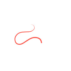 Fototapeta premium Red Squiggle Brush Scribble Underline