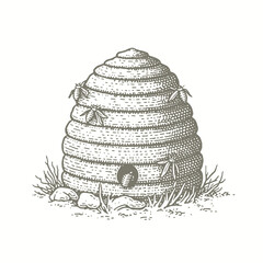 engraving of bee hive illustration vector illustration
