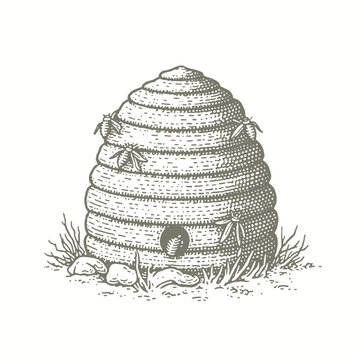 recommend clip art: engraving of bee hive illustration vector illustration