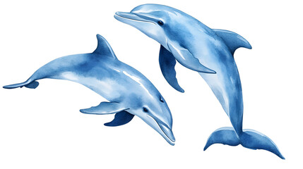 Fototapeta premium Playful dolphins illustration collection isolated on white
