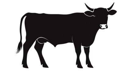Dairy cow silhouette, front view, lines, transparent background.