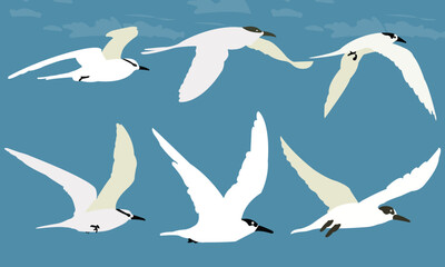 Flying Seabird Vector Illustrations in Various Poses, Flying Bird Silhouette Clip Art, great set of flying birds Vector silhouettes