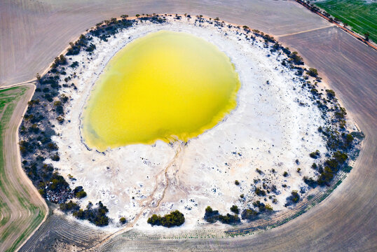 Aerial view of a unique abstract salt lake resembling a fried egg surrounded by barren terrain and bushland, Perth Wheatbelt Region, Western Australia, Australia.